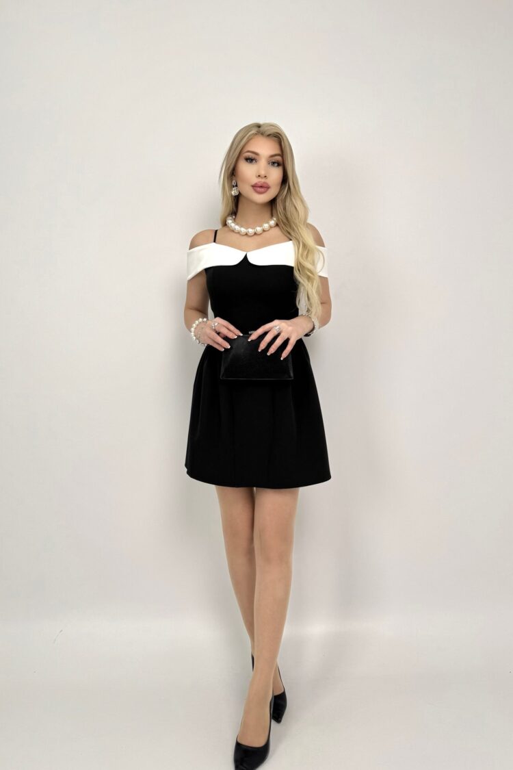 Elegant Fit And Flare Mini Dress