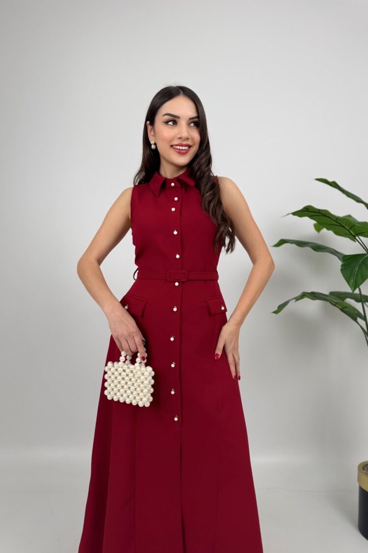 Elegant Shirt Dress