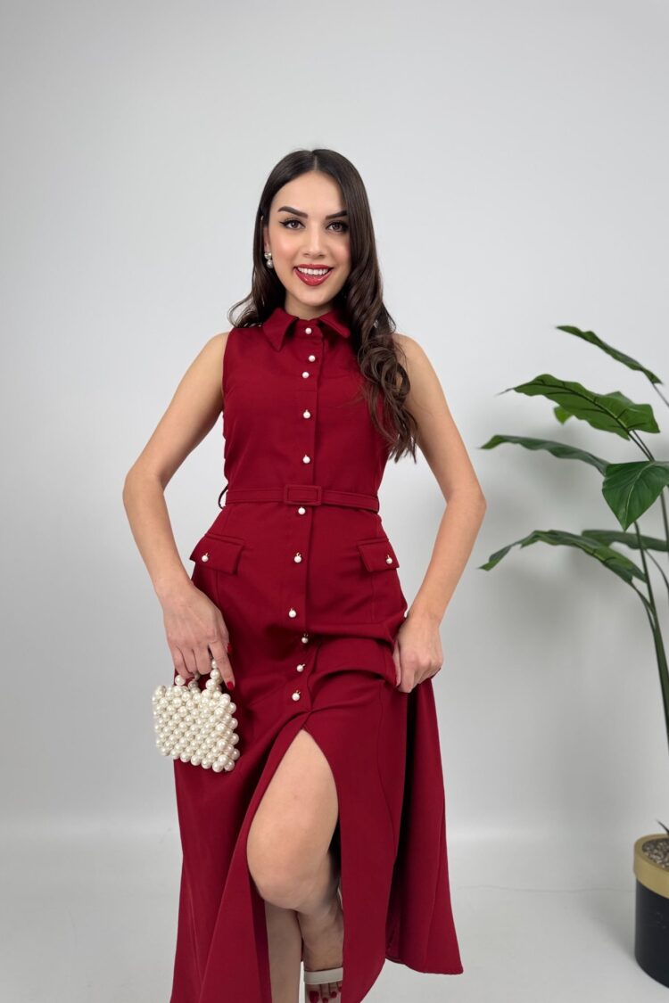 Elegant Shirt Dress