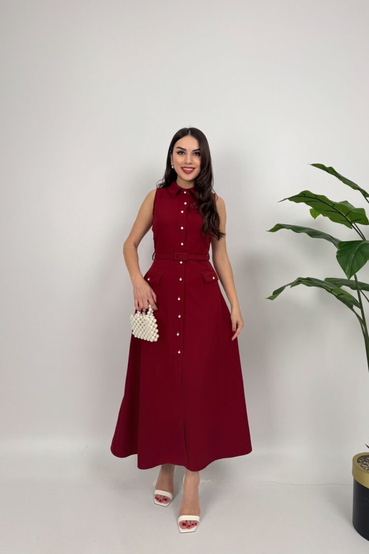 Elegant Shirt Dress