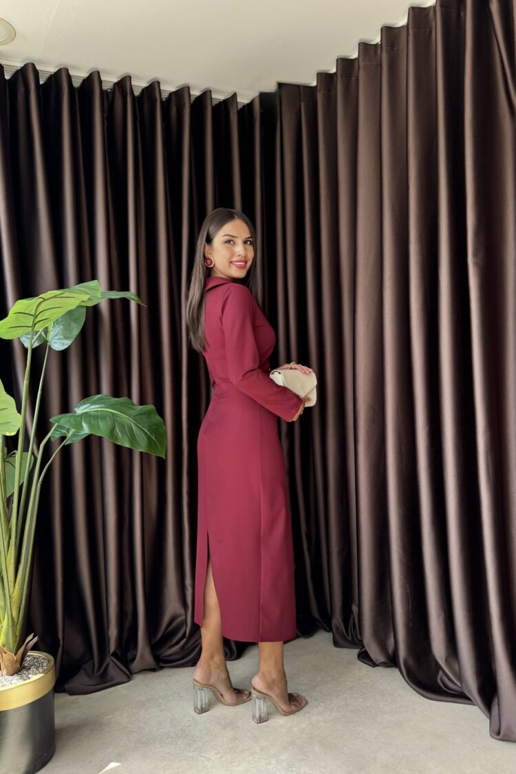 ElegantSheath Dress With Long Sleeves
