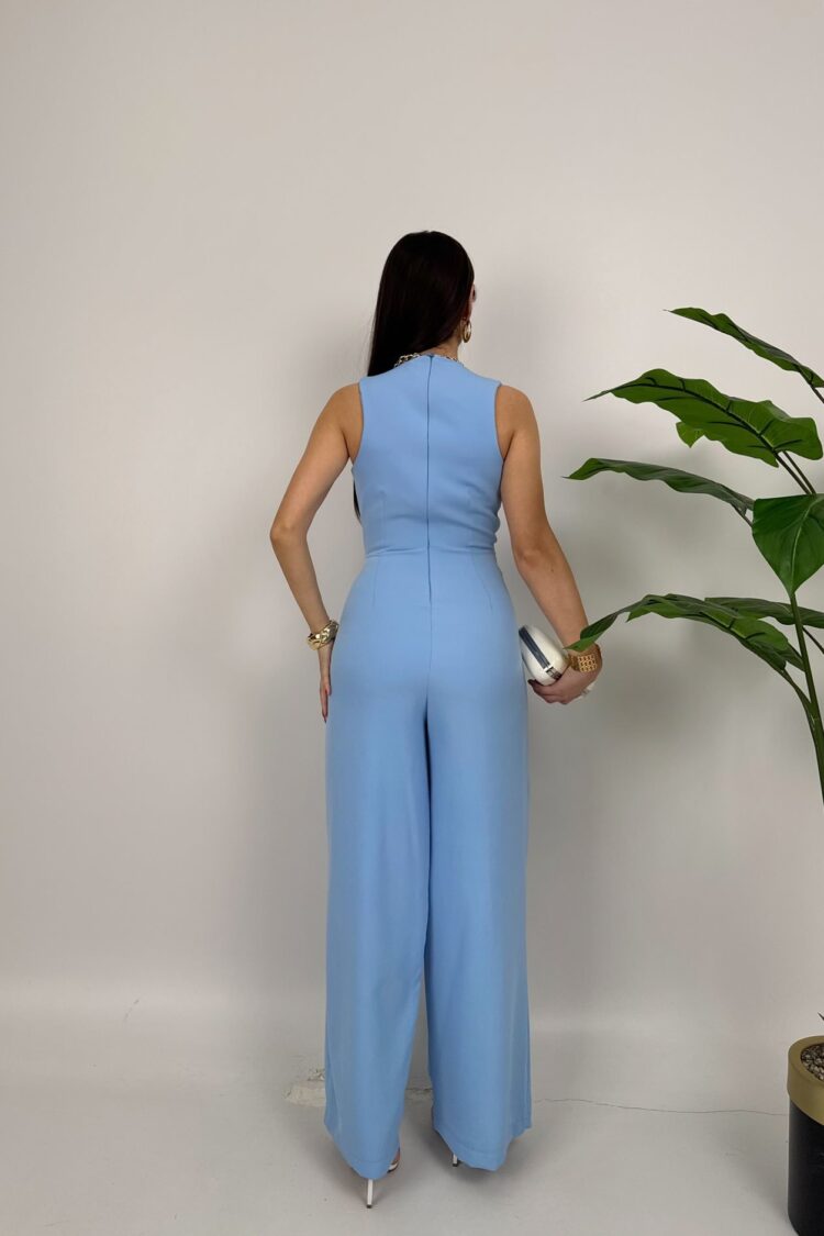 Elegant Tailored Jumpsuit With Plunging Neck