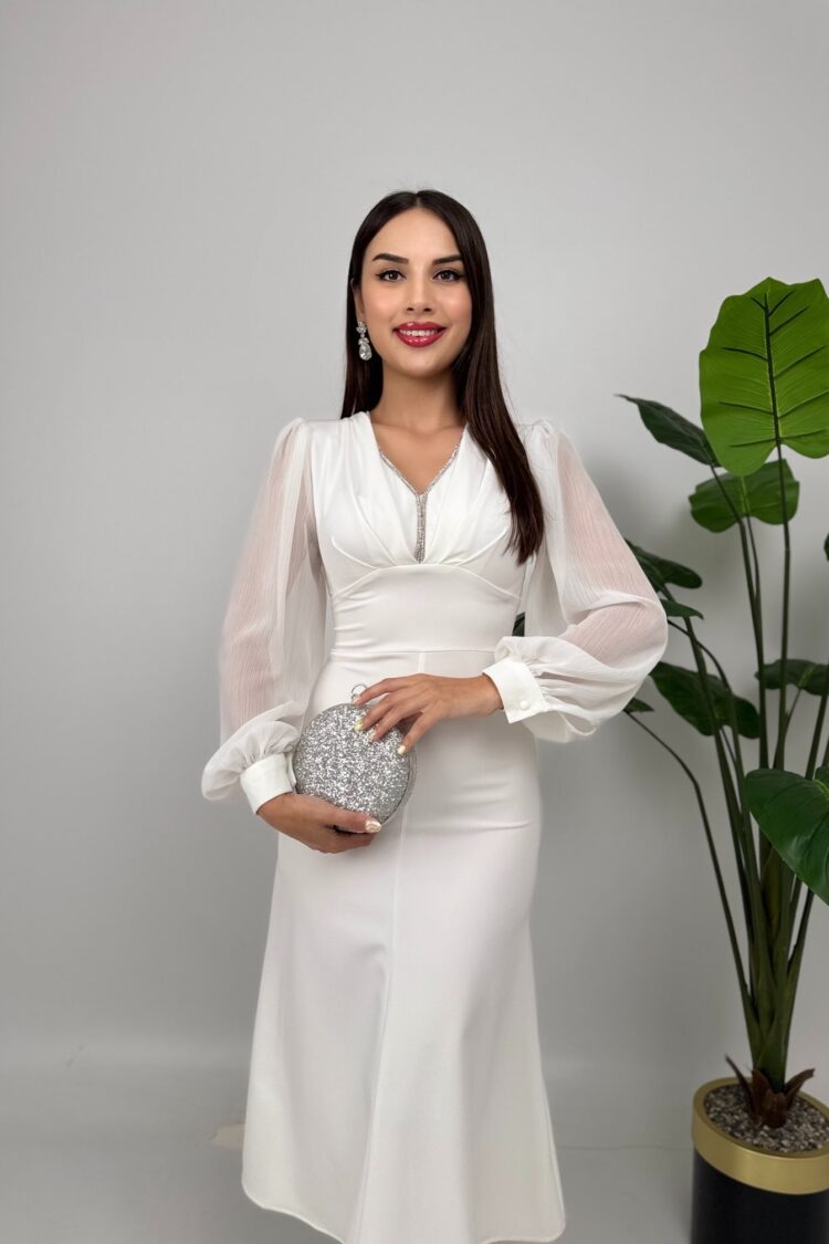 Elegant Fit And Flare Dress