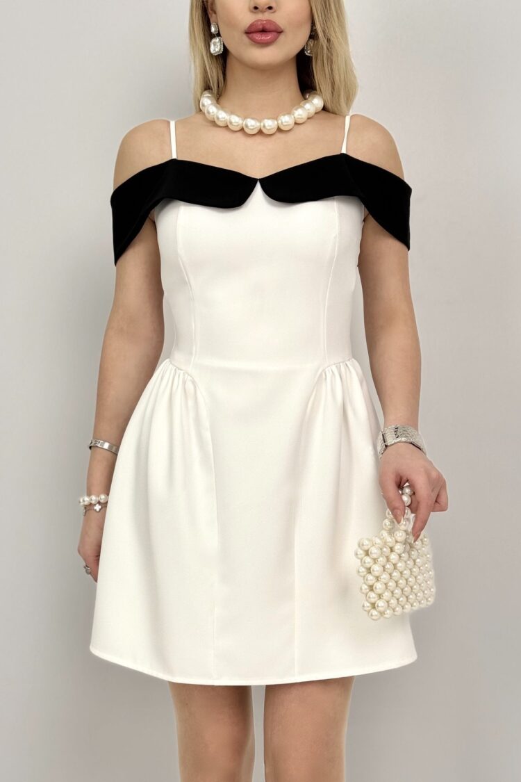 Sleeveless Fit And Flare Mini Dress