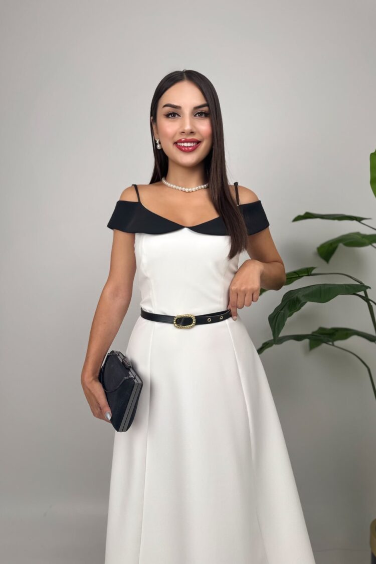 ElegantFit And Flare Dress