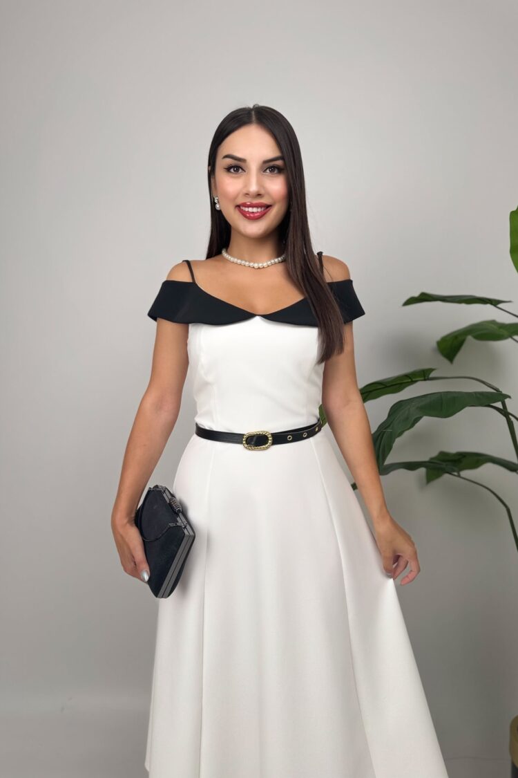 ElegantFit And Flare Dress
