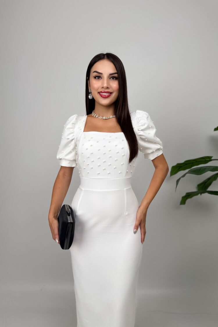 Elegant Formal Vintage Sheath Dress