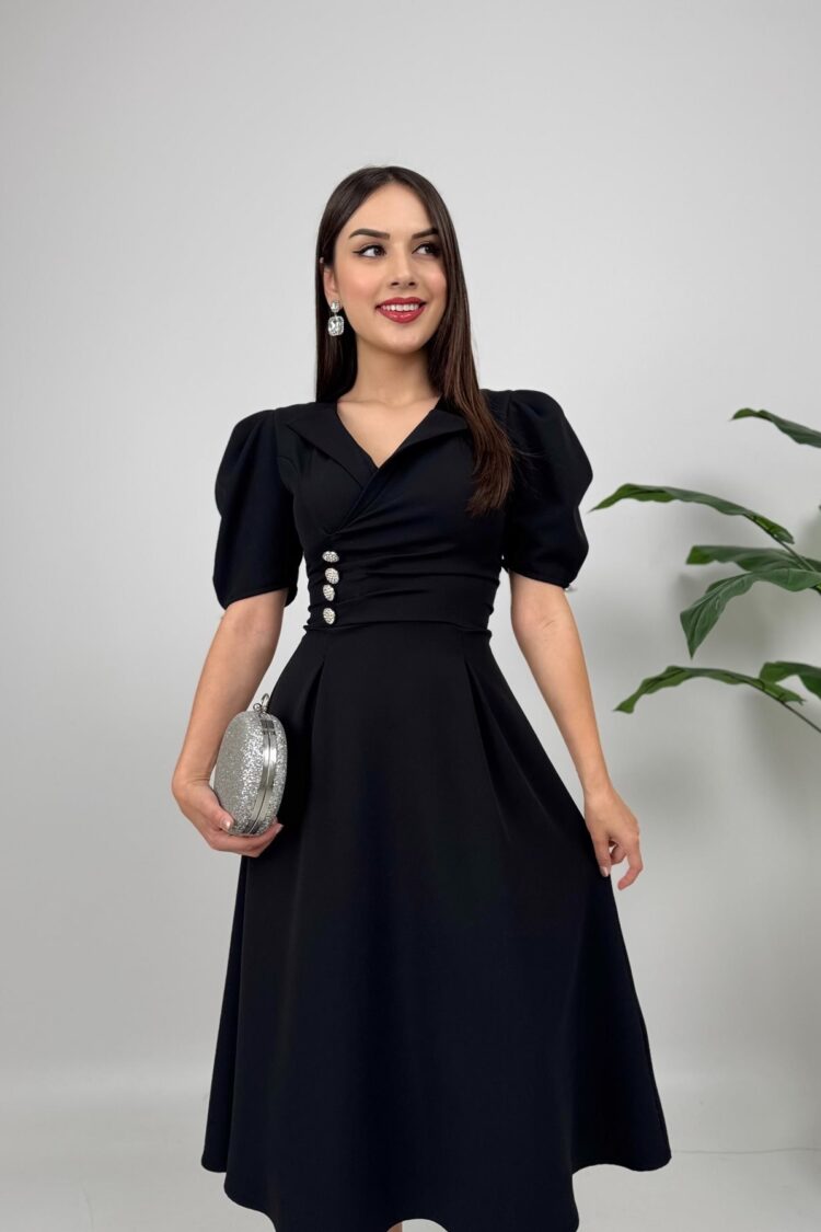 Elegant Fit And Flare Dress