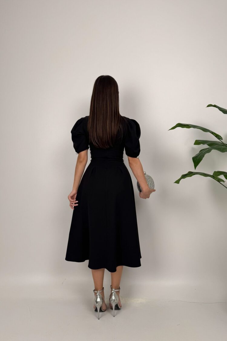 Elegant Fit And Flare Dress