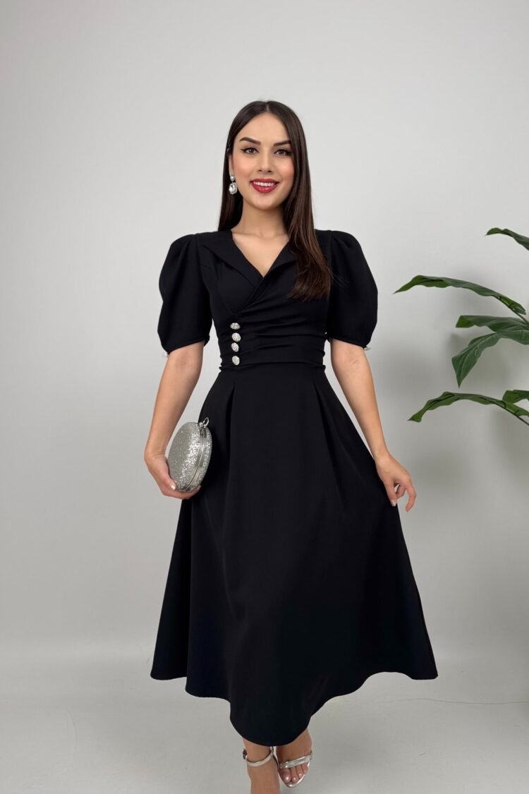 Elegant Fit And Flare Dress