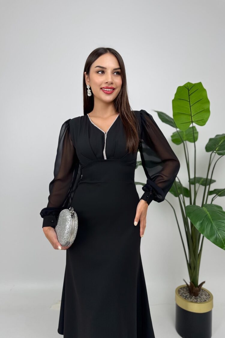 Elegant Fit And Flare Dress