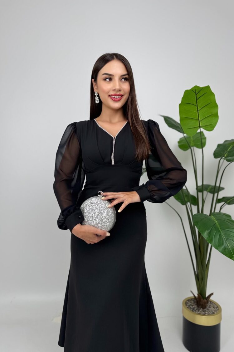 Elegant Fit And Flare Dress