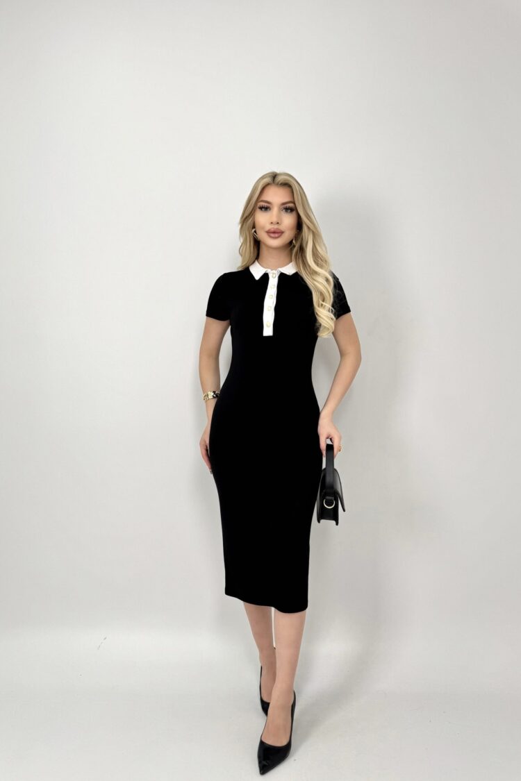 ElegantPencil Dress With Polo Neck