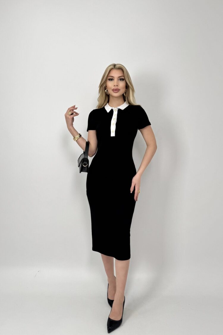 ElegantPencil Dress With Polo Neck