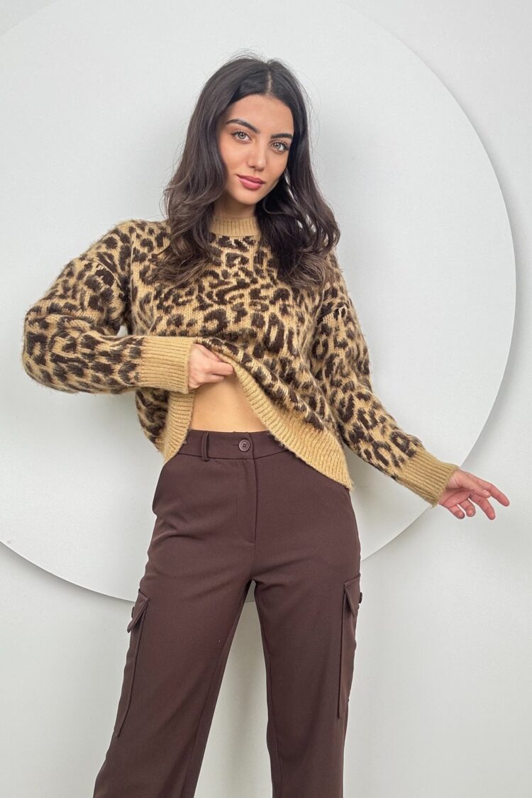 Animal Print Casual Sweater