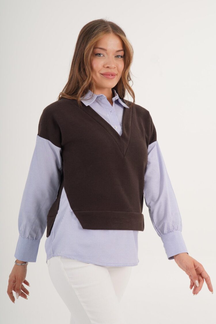 Brown Preppy Casual Elegant Blouse