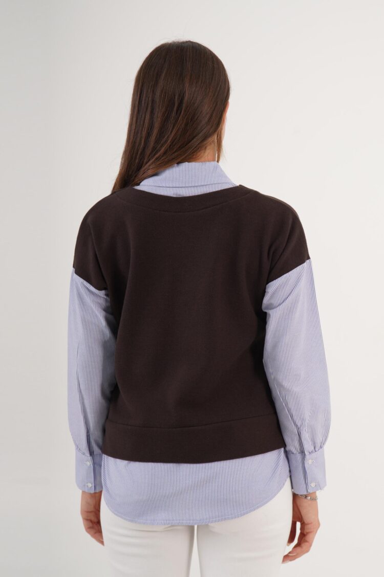Brown Preppy Casual Elegant Blouse