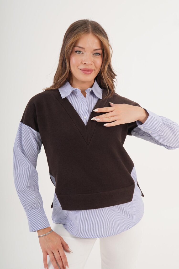Brown Preppy Casual Elegant Blouse