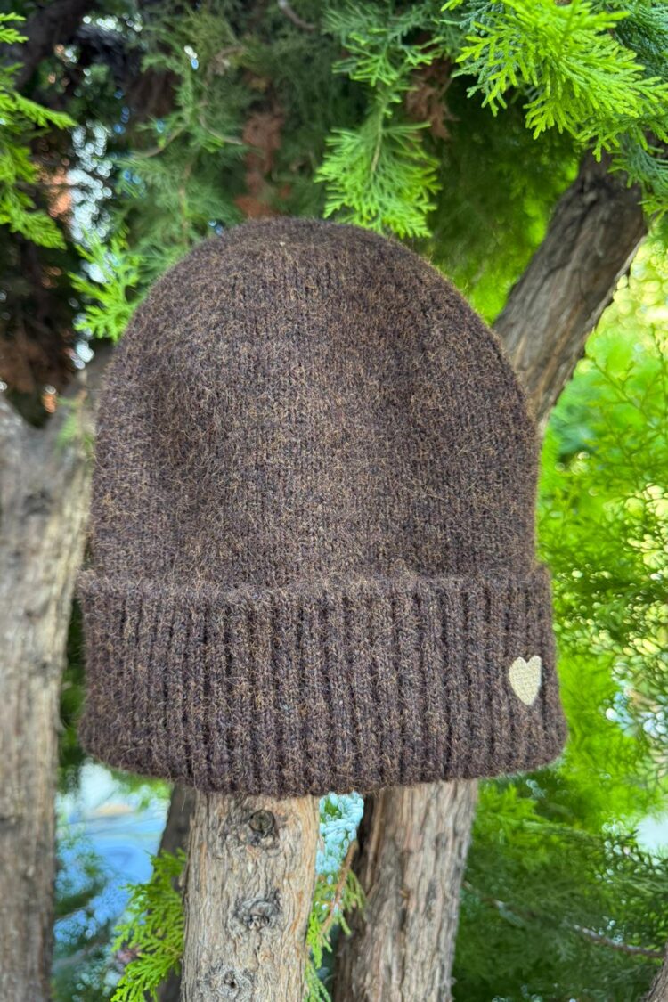 Brown Casual Beret For Fall & Winter