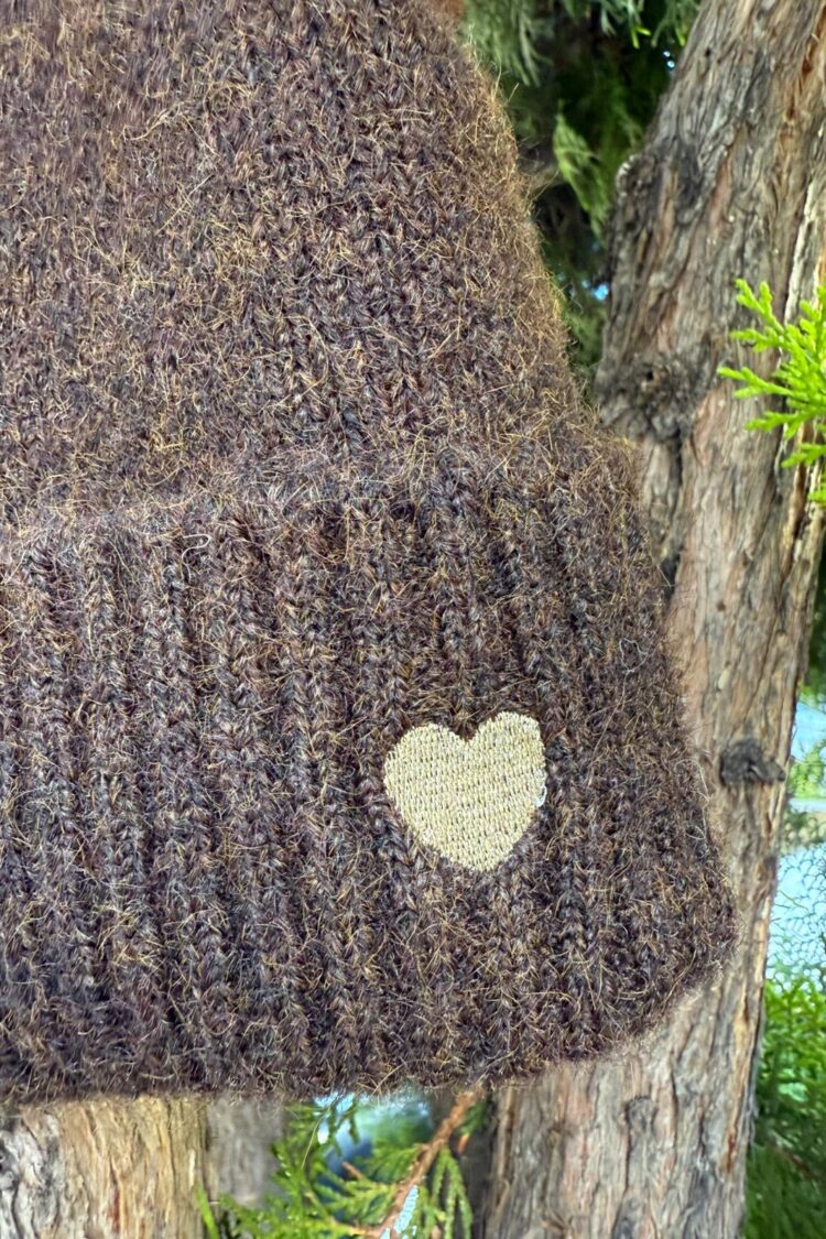 Brown Casual Beret For Fall & Winter