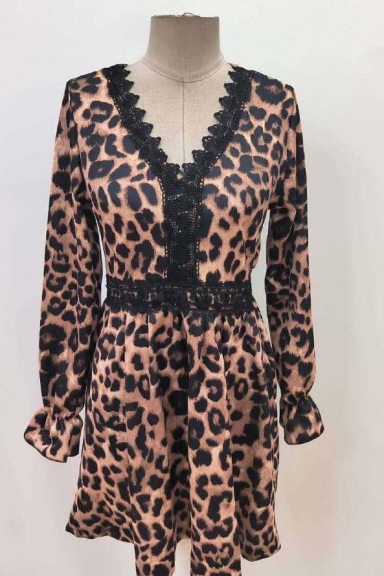 Brown Animal Print A-Line Mini Dress