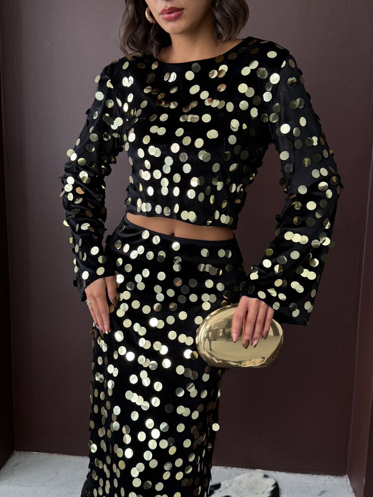 Sequined Glam Slim Fit Crop Blouse