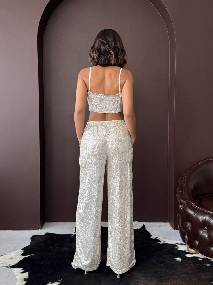 Silver Glam Elegant Palazzo Pants
