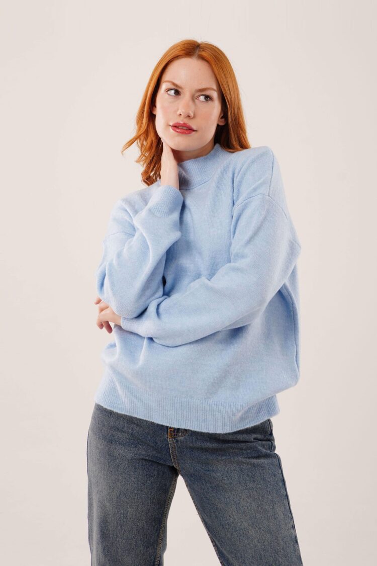 Sweater With High Neck And Long Sleeves