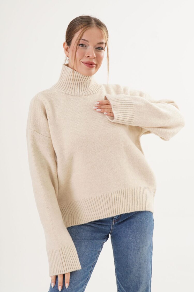 Turtle Neck Oversized Sweater