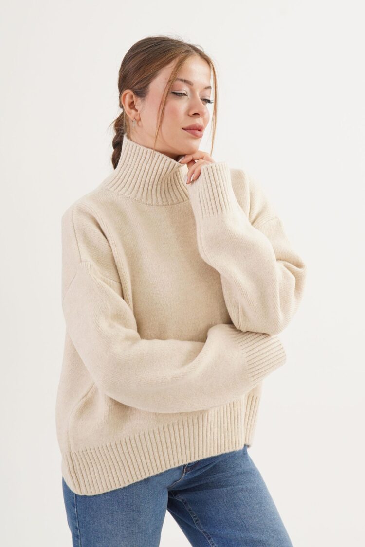 Turtle Neck Oversized Sweater