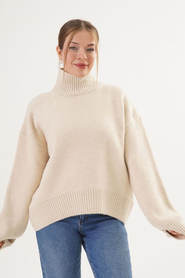 Turtle Neck Oversized Sweater