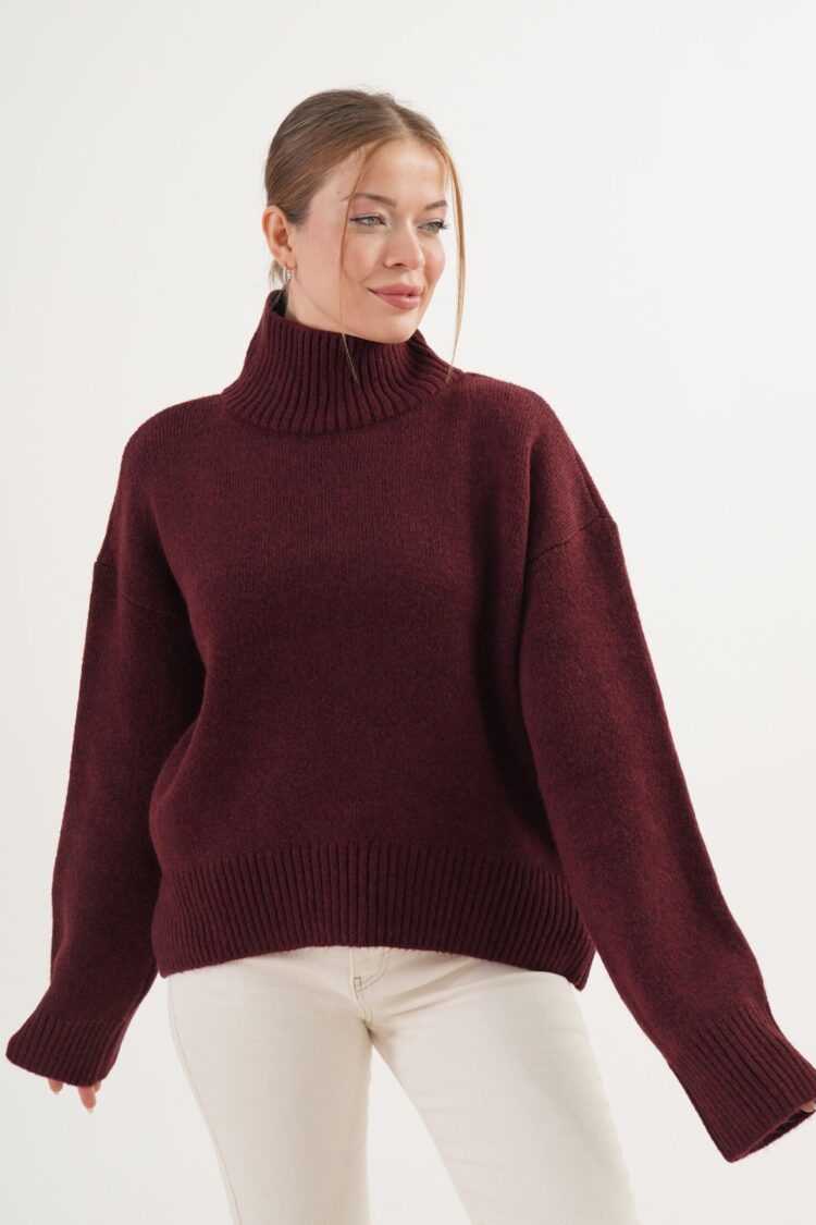 Sweater With Turtle Neck And Oversized Fit