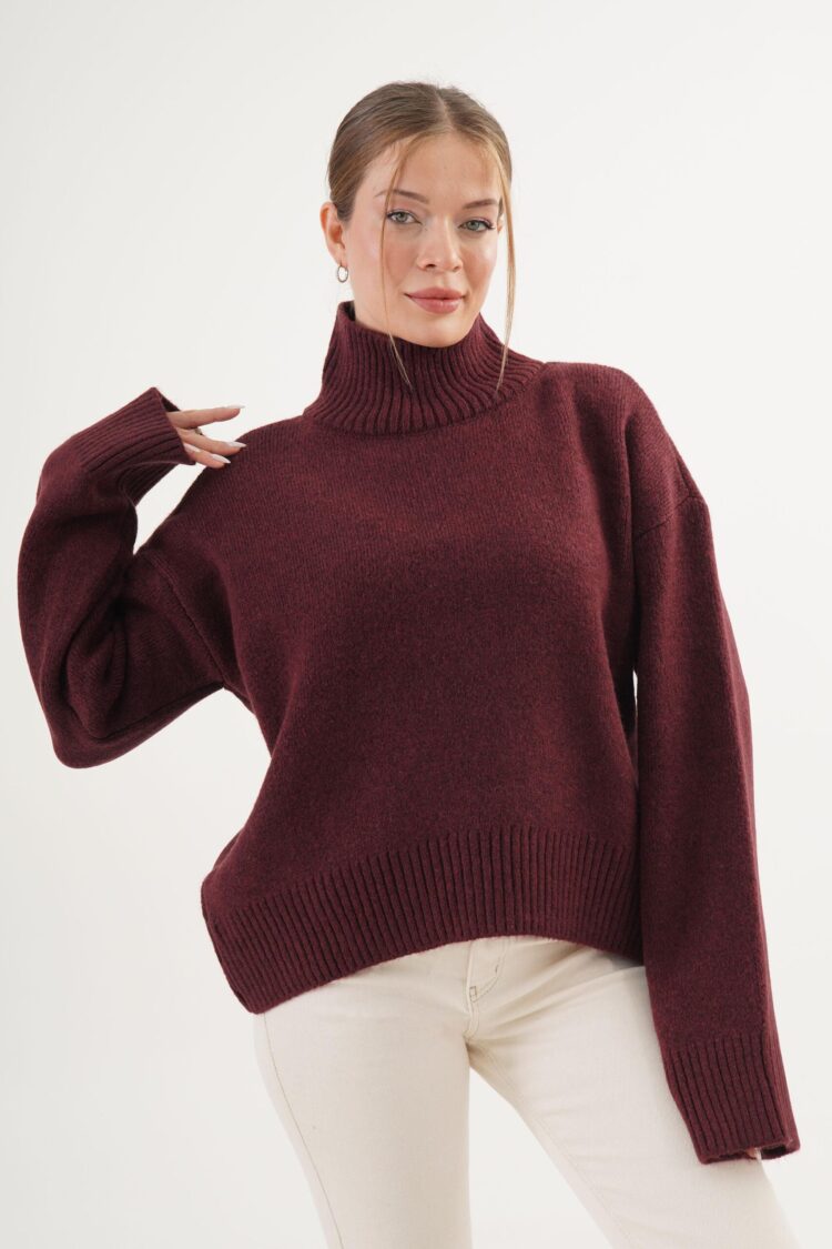 Sweater With Turtle Neck And Oversized Fit