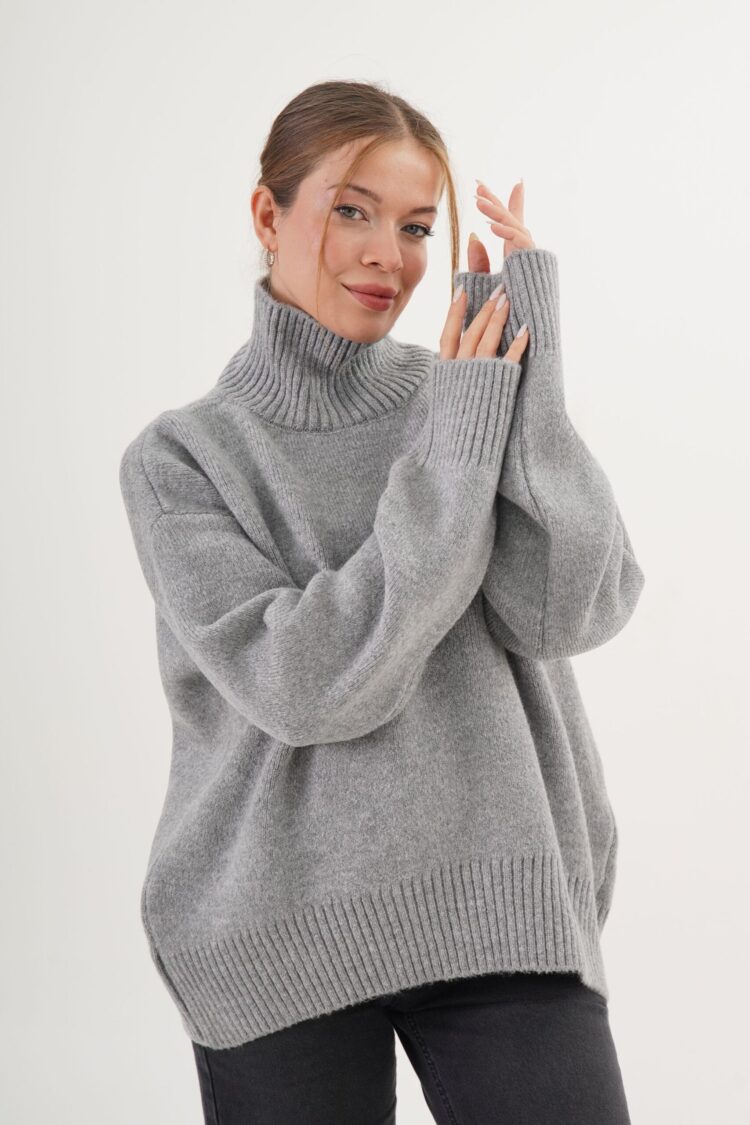 Casual Sweater With Turtle Neck