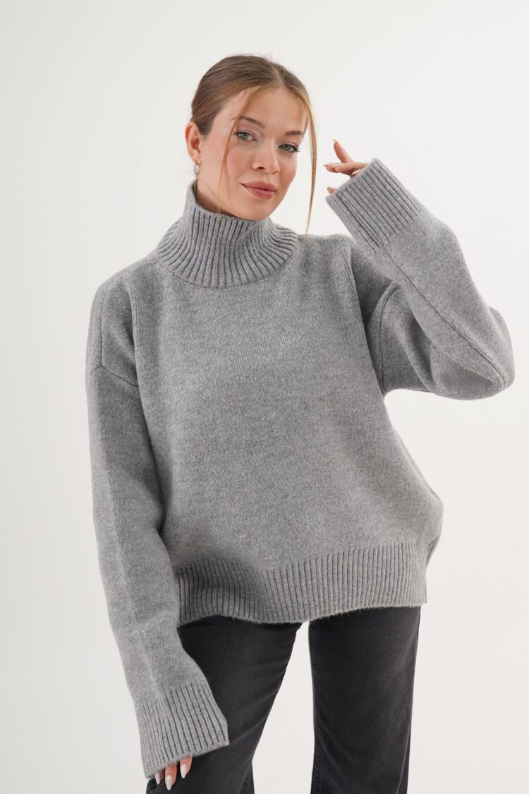 Casual Sweater With Turtle Neck