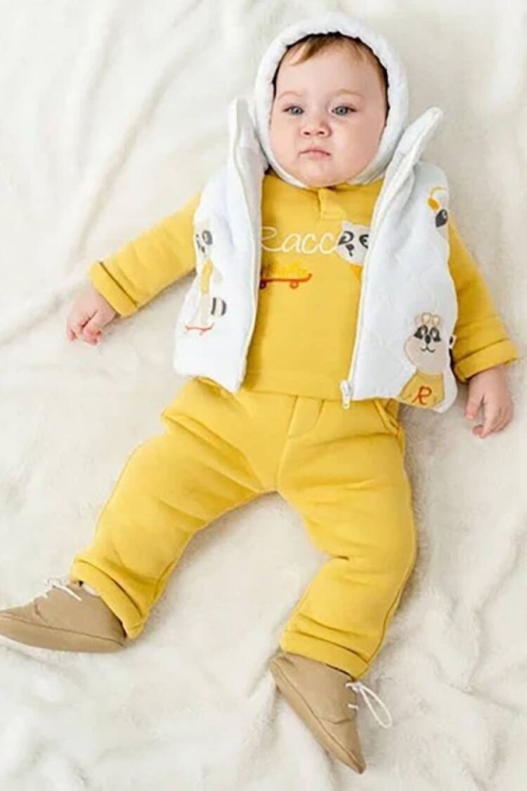 Baby Sets - B1 - Rakun Nakışlı Yelekli Üçlü Erkek Bebe Takım 3 İp Şardonlu - Brand: HİPPIL - Women & Kids, Baby Clothes Wholesale - Globality Store