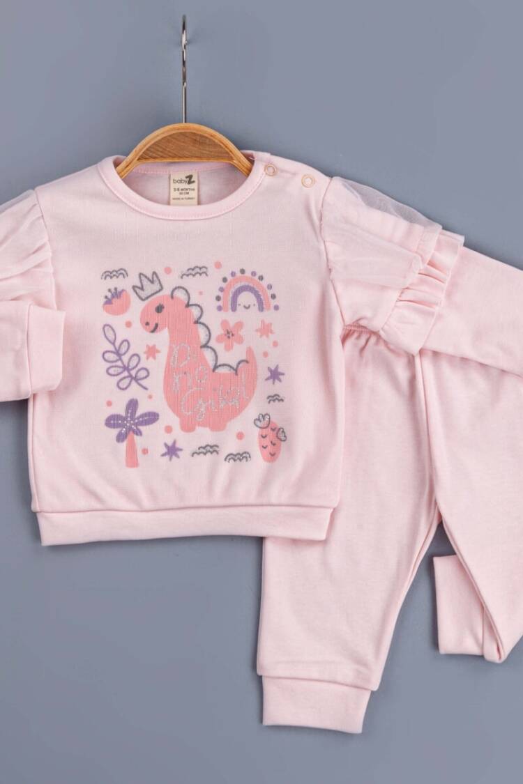 Baby Sets - Toptan Kız Bebek 2'li Takım 6-24M 1097-5760 - Brand: BabyZ - Women & Kids, Baby Clothes Wholesale - Globality Store